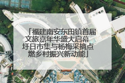 福建南安东田镇首届文旅嘉年华盛大启幕 圩日市集与杨梅采摘点燃乡村振兴新动能