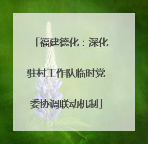 福建德化：深化驻村工作队临时党委协调联动机制