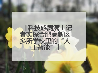 科技感满满！记者实探合肥高新区多所学校里的“人工智能”