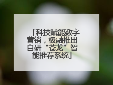 科技赋能数字营销，极融推出自研“苍龙”智能推荐系统