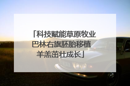科技赋能草原牧业 巴林右旗胚胎移植羊羔茁壮成长
