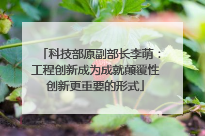科技部原副部长李萌：工程创新成为成就颠覆性创新更重要的形式