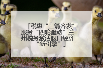 税惠“三箭齐发”服务“四轮驱动”兰州税务激活假日经济“新引擎”