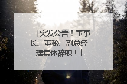 突发公告！董事长、董秘、副总经理集体辞职！