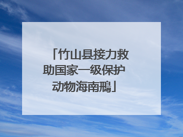 竹山县接力救助国家一级保护动物海南鳽