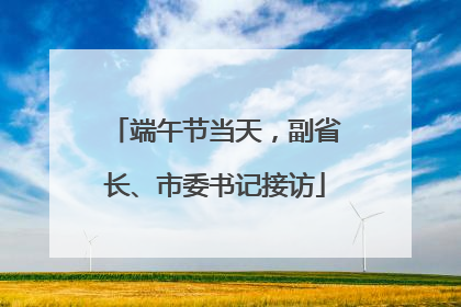 端午节当天，副省长、市委书记接访