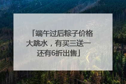 端午过后粽子价格大跳水，有买三送一还有6折出售