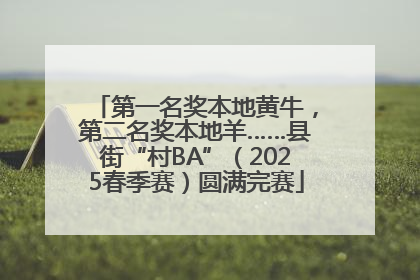 第一名奖本地黄牛，第二名奖本地羊……县街“村BA”（2025春季赛）圆满完赛