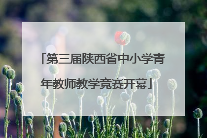 第三届陕西省中小学青年教师教学竞赛开幕