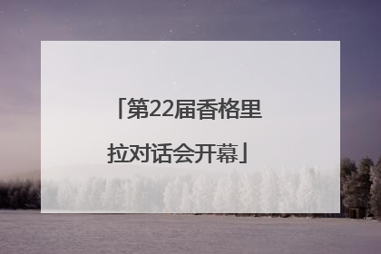 第22届香格里拉对话会开幕