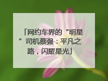 网约车界的“明星”司机蔡强：平凡之路，闪耀星光