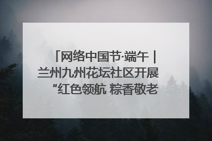 网络中国节·端午｜兰州九州花坛社区开展“红色领航 粽香敬老”端午主题活动