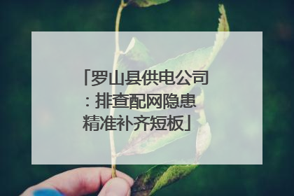 罗山县供电公司：排查配网隐患 精准补齐短板