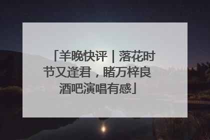 羊晚快评｜落花时节又逢君，睹万梓良酒吧演唱有感