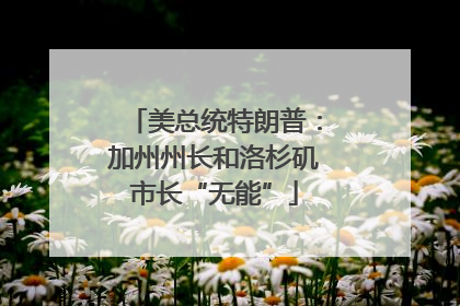 美总统特朗普：加州州长和洛杉矶市长“无能”