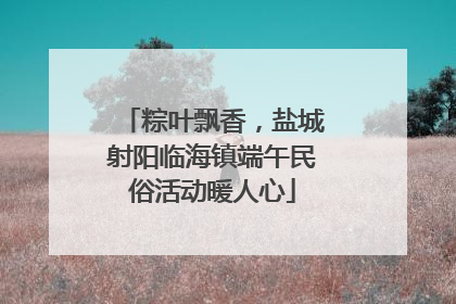 粽叶飘香，盐城射阳临海镇端午民俗活动暖人心