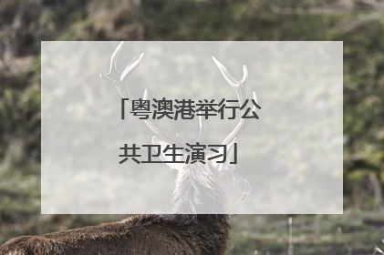 粤澳港举行公共卫生演习