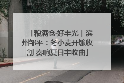 粮满仓·好丰光｜滨州邹平：冬小麦开镰收割 奏响夏日丰收曲