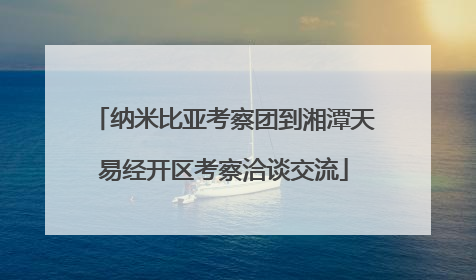 纳米比亚考察团到湘潭天易经开区考察洽谈交流