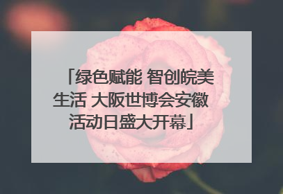 绿色赋能 智创皖美生活 大阪世博会安徽活动日盛大开幕