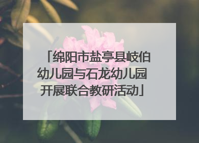 绵阳市盐亭县岐伯幼儿园与石龙幼儿园开展联合教研活动