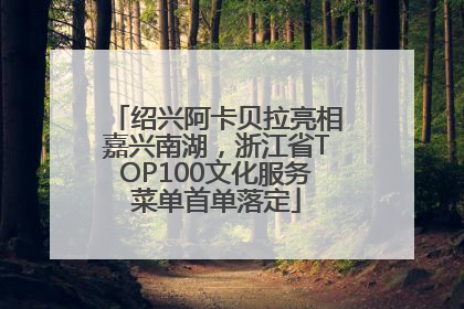 绍兴阿卡贝拉亮相嘉兴南湖，浙江省TOP100文化服务菜单首单落定