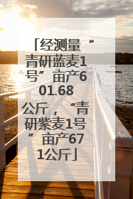 经测量“青研蓝麦1号”亩产601.68公斤，“青研紫麦1号”亩产671公斤