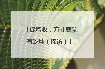促增收，方寸庭院有乾坤（探访）