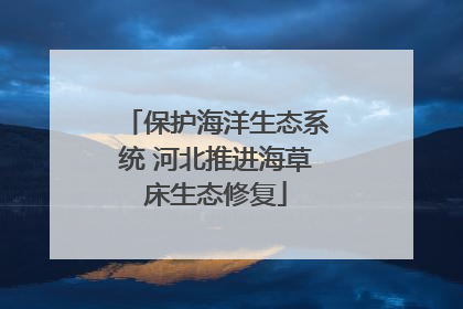 保护海洋生态系统 河北推进海草床生态修复