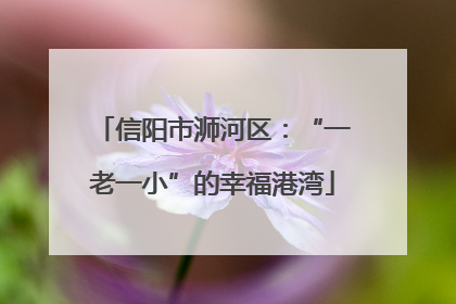 信阳市浉河区：“一老一小”的幸福港湾