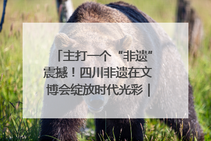 主打一个“非遗”震撼！四川非遗在文博会绽放时代光彩｜文博向“新”
