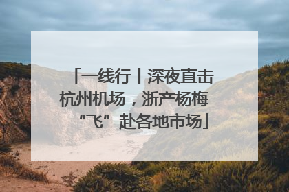 一线行丨深夜直击杭州机场，浙产杨梅“飞”赴各地市场