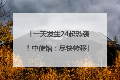 一天发生24起恐袭！中使馆：尽快转移