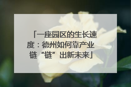 一座园区的生长速度：德州如何靠产业链“链”出新未来