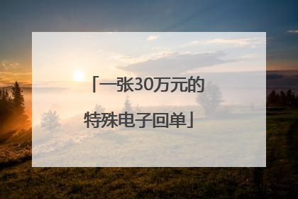一张30万元的特殊电子回单