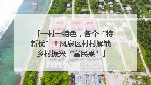 一村一特色,各个“特新优”!凤泉区村村解锁乡村振兴“富民果”