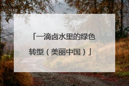 一滴卤水里的绿色转型（美丽中国）
