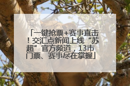 一键抢票+赛事直击！交汇点新闻上线“苏超”官方频道，13市门票、赛事尽在掌握