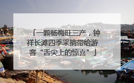 一颗杨梅旺三产，钟祥长滩四季采摘带给游客“舌尖上的惊喜”