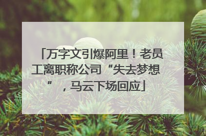 万字文引爆阿里！老员工离职称公司“失去梦想”，马云下场回应