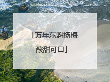 万年东魁杨梅 酸甜可口