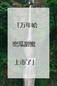 万年哈密瓜甜蜜上市了