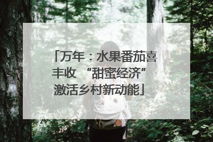 万年：水果番茄喜丰收 “甜蜜经济”激活乡村新动能