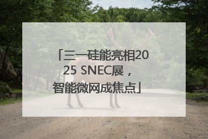 三一硅能亮相2025 SNEC展，智能微网成焦点