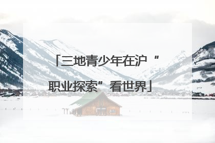 三地青少年在沪“职业探索”看世界