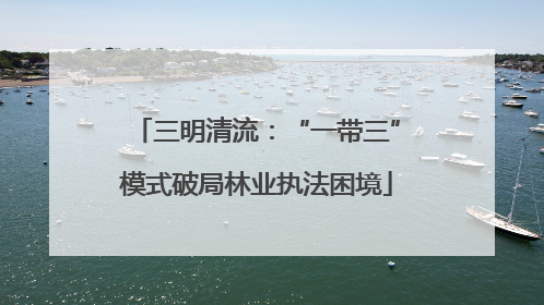 三明清流：“一带三”模式破局林业执法困境