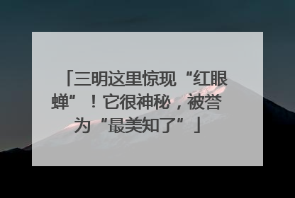 三明这里惊现“红眼蝉”！它很神秘，被誉为“最美知了”