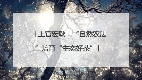 上官宏耿：“自然农法”培育“生态好茶”