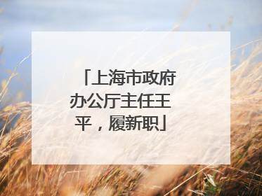 上海市政府办公厅主任王平，履新职