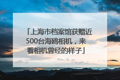 上海市档案馆获赠近500台海鸥相机，来看相机曾经的样子